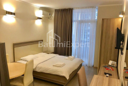 Բնակարան 1-комн 27 m² - Շերիֆ Խիմշիաշվիլի, Batumi