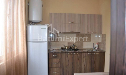 Բնակարան 3-комн 43 m² - Ալեքսանդրա Գրիբոեդովա, Batumi