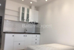Բնակարան 1-комн 32 m² - Նիկո Փիրոսմանի, Batumi