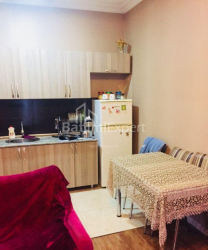 Բնակարան 2-комн 46 m² - Ալեքսանդրա Պուշկին, Batumi