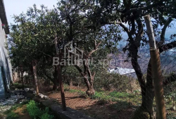 Բնակարան 300 մ² - Յուրիևսկայա, Batumi, Վրաստан