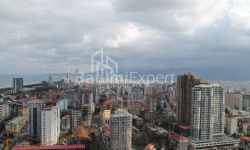 Բնակարան 1-комн 31 m² - Նիկո Փիրոսմանի, Batumi