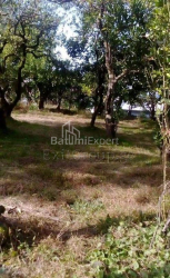 Բնակարան 4-комн 259 m² - Յուրիևսկայա, Batumi