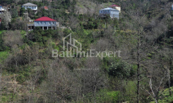 Բնակարան 2-комн 170 m² - Յուրիևսկայա, Batumi