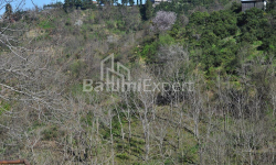 Բնակարան 2-комн 170 m² - Յուրիևսկայա, Batumi