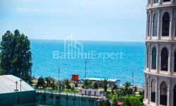 Բնակարան 2-комн 47 m² - Շերիֆ Խիմշիաշվիլի, Batumi