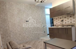 Բնակարան 2-комн 40 m² - Նիկո Փիրոսմանի, Batumi