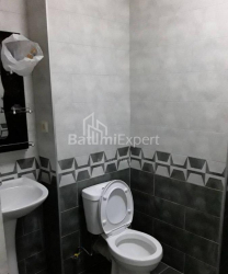 Բնակարան 1-комн 31 m² - Նիկո Փիրոսմանի, Batumi