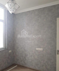 Բնակարան 2-комн 40 m² - Նիկո Փիրոսմանի, Batumi