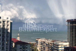 Բնակարան 3-комн 53 m² - Նիկո Փիրոսմանի, Batumi