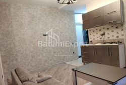 Բնակարան 2-комн 40 m² - Նիկո Փիրոսմանի, Batumi
