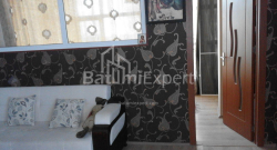 Բնակարան 3-комн 65 m² - Նիկո Փիրոսմանի, Batumi