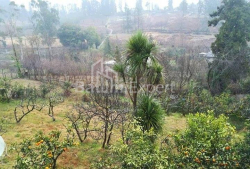 Բնակարան 8-комн 250 m² - Յուրիևսկայա, Batumi