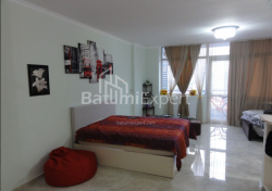 Բնակարան 1-комн 50 m² - Նիկո Փիրոսմանի, Batumi