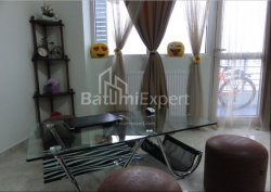 Բնակարան 1-комн 50 m² - Նիկո Փիրոսմանի, Batumi