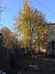 Հողամաս 900 մ² - Ջեմալա Կատամաձե, Batumi, Վրաստан