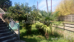 Առանձնատուն 250 մ² - Դումբաձեն, Ureki, Վրաստан
