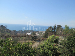 Առանձնատուն 4000 մ² - Դավիթ Աղմաշենեբելի, Kobuleti, Վրաստан