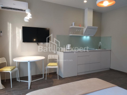Բնակարան 1-комн 33 m² - Շալվա Ինասարիձե, Batumi