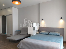 Բնակարան 1-комн 33 m² - Շալվա Ինասարիձե, Batumi