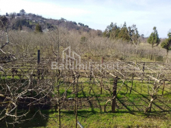 Հողամաս 4260 մ² - Դավիթ Աղմաշենեբելի, Քոբուլեթի, Վրաստан