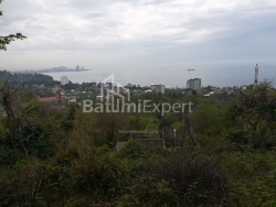 Հողամաս 1000 m² - Ախալգազրդոբա, Makhinjauri