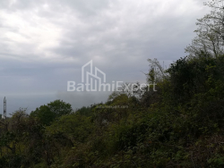 Հողամաս 1000 m² - Ախալգազրդոբա, Makhinjauri