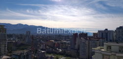 Բնակարան 1-комн 31.3 m² - Շալվա Ինասարիձե, Batumi