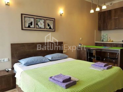 Բնակարան 1-комн 29 m² - Զուրաբա Գորգիլաձե, Batumi