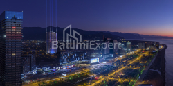 Օբյեկտը կառուցման ընթացքում է 32.5 մ² - Գրիգոլա Լորթքիփանիձե, Բաթումի, Վրաստан