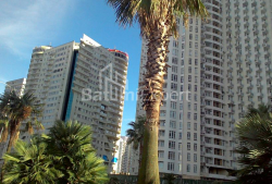 Բնակարան 29 մ² - Զուրաբա Գորգիլաձե, Batumi, Վրաստан