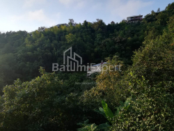 Առանձնատուն 4-комн 2501 m² - Ակակի Շաինիձե, Khelvachauri