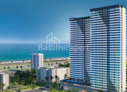 Բնակարան 1-комн 34 m² - Նիկո Փիրոսմանի, Batumi