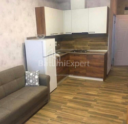 Բնակարան 2-комн 47 m² - Շերիֆ Խիմշիաշվիլի, Batumi