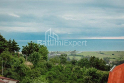 Առանձնատուն 280 մ² - օդանավակայանի մայրուղի, Batumi, Վրաստан