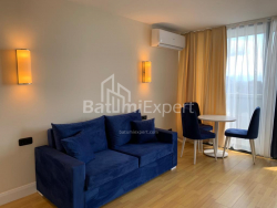 Բնակարան 2-комн 43 m² - Շերիֆ Խիմշիաշվիլի, Batumi