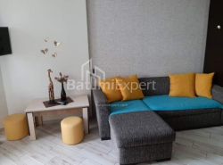 Բնակարան 2-комн 35.6 m² - Նիկո Փիրոսմանի, Batumi