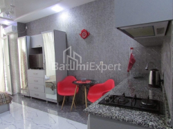 Բնակարան 1-комн 32 m² - Նիկո Փիրոսմանի, Batumi