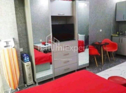 Բնակարան 1-комн 32 m² - Նիկո Փիրոսմանի, Batumi