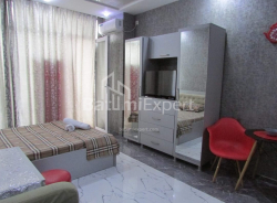 Բնակարան 1-комн 32 m² - Նիկո Փիրոսմանի, Batumi