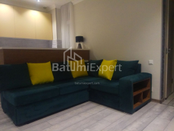 Բնակարան 2-комн 42.3 m² - Լեխ և Մարիա Կաչինսկիներ, Batumi