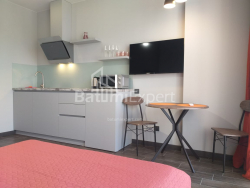 Բնակարան 1-комн 31.3 m² - Շալվա Ինասարիձե, Batumi