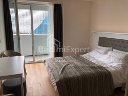 Բնակարան 1-комн 31 m² - Շերիֆ Խիմշիաշվիլի, Batumi