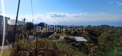 Առանձնատուն 240 մ² - Մեզգվարտա, Չաքվի, Վրաստан