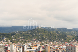 Բնակարան 52.5 մ² - Էքվթիմե Թակաիշվիլի, Batumi, Վրաստан