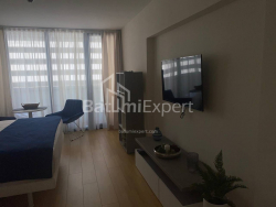 Բնակարան 1-комн 30 m² - Շերիֆ Խիմշիաշվիլի, Batumi