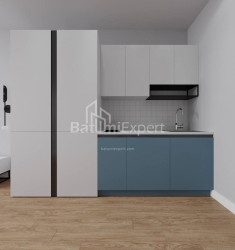 Բնակարան 1-комн 30.3 m² - Շալվա Ինասարիձե, Batumi