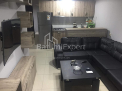 Բնակարան 2-комн 45 m² - Ալեքսանդրա Պուշկին, Batumi