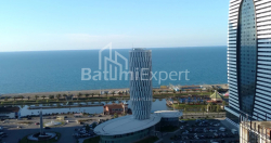 Բնակարան 1-комн 49.2 m² - Նիկո Փիրոսմանի, Batumi