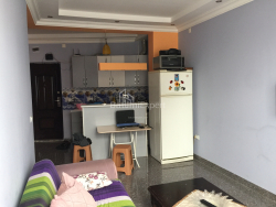 Բնակարան 2-комн 49 m² - Ալեքսանդրա Պուշկին, Batumi